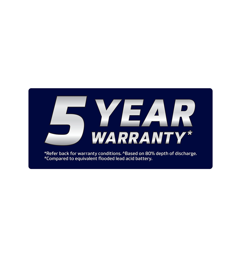 Century Lithium 5 Year Stickers - Sheet of 21 - CB111-3378